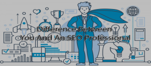 Difference between you and an SEO professional