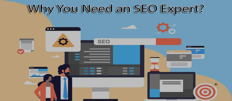 Why you need an SEO expert?